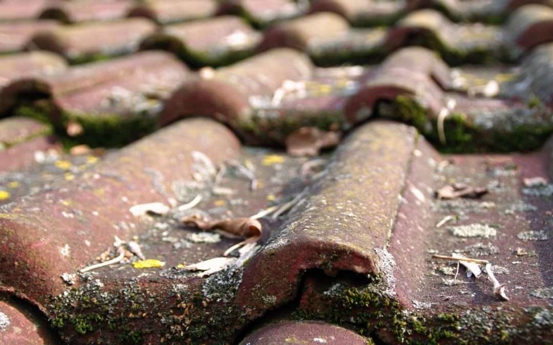 What Is Soft Washing?